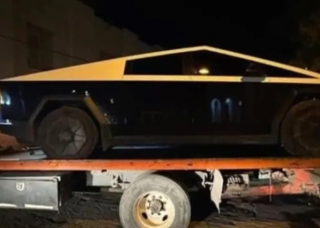 Hombre en Cybertruck Atropella a Perro en Sonora; Manejaba en Estado de Ebriedad
