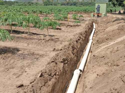 Padece sequía de moderada a excepcional, 95.8% de Sonora, afirma Conagua