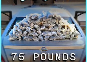 Patrulla Fronteriza decomisa 34 kilos de metanfetaminas en la estación Wellton