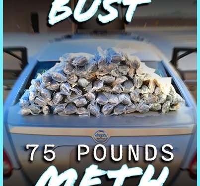 Patrulla Fronteriza decomisa 34 kilos de metanfetaminas en la estación Wellton