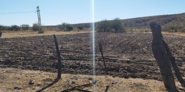 Secretaría del Bienestar entrega apoyos a productores agrícolas en Sonora