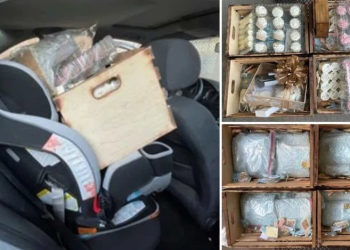 CBP Asegura Fentanilo Oculto en Regalos y Postres en Frontera de Sonora y Arizona