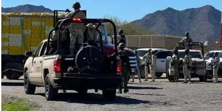 Sicarios atacan un tractocamión en carretera de Sonora y asesinan al copiloto; Fiscalía investiga