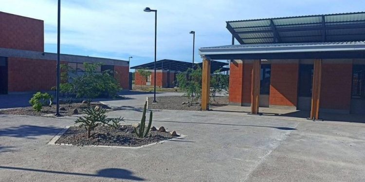 Visitará Claudia Sheinbaum Universidad del Pueblo Yaqui en Sonora