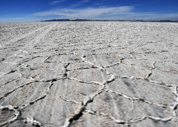 Bolivia queda rezagado en carrera por mercado global del litio