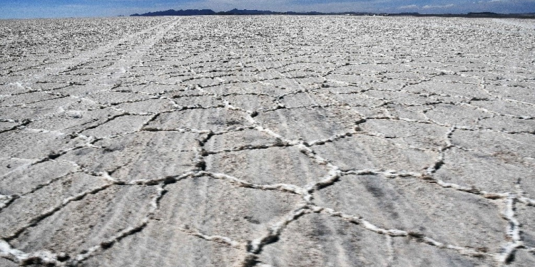 Bolivia queda rezagado en carrera por mercado global del litio