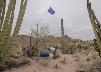 El agujero negro de la frontera: Las dificultades en la búsqueda de migrantes 