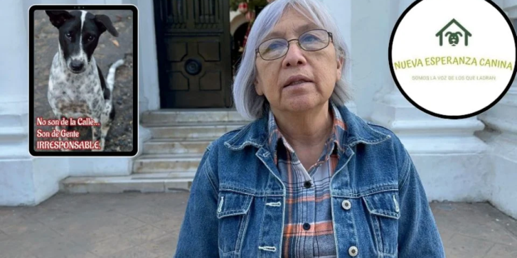 Mantienen por tres generaciones tradición de rescatar mascotas