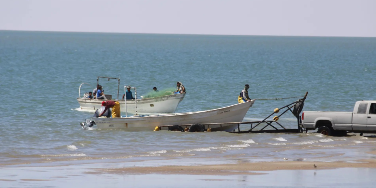 Pescadores de El Golfo buscan acercamiento con el director de Áreas Naturales Protegidas