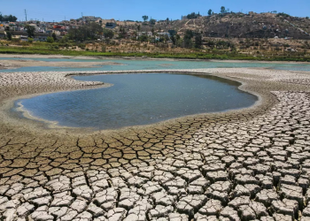 Chihuahua y Sonora, estados con más sequía; problema abarca 31% de territorio