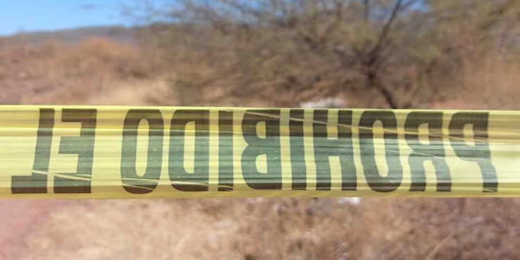 Hallan restos de más de 10 personas en fosa clandestina en Caborca, Sonora; Fiscalía estatal inicia investigaciones