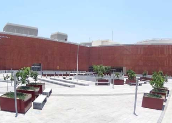 CNDH emite recomendaciones al IMSS, por actos de violencia obstétrica ocurridos en hospitales de Coahuila, Colima, Sonora y Tamaulipas