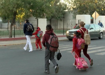 Autoridades Emiten Recomendaciones para Evitar Accidentes Viales ante el Regreso a Clases