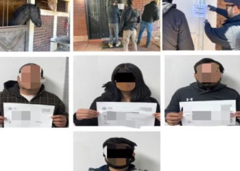 Aseguran fauna silvestre en domicilios diferentes en Nogales, Sonora; también confiscan vehículos, armas, drogas y dinero