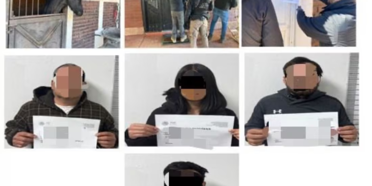 Aseguran fauna silvestre en domicilios diferentes en Nogales, Sonora; también confiscan vehículos, armas, drogas y dinero