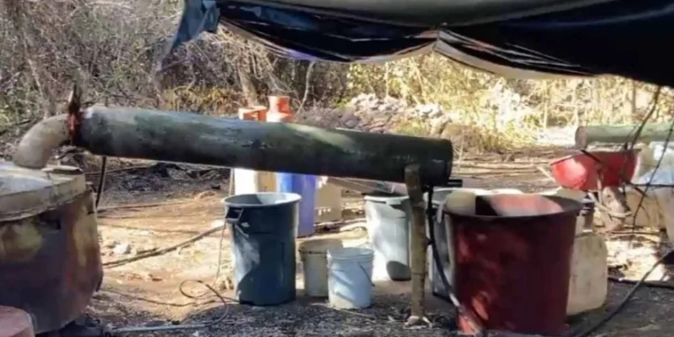 Laboratorios Clandestinos en Sonora son Encontrados Mayormente en Frontera con Sinaloa: SSP