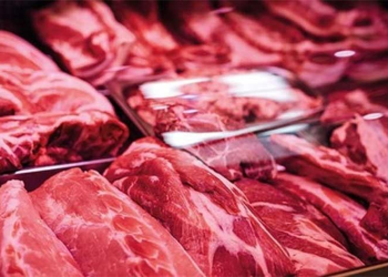 Valor de la carne bovina supera los 342 mdp en Sonora