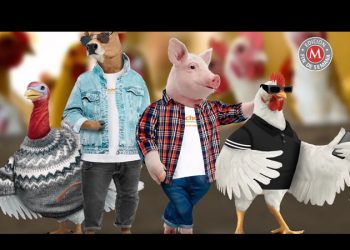 Van con todo al asador; Bachoco se relanza al mercado