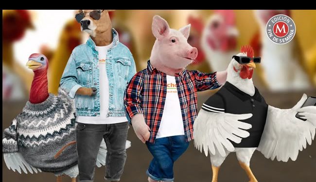 Van con todo al asador; Bachoco se relanza al mercado