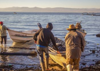 Pescadores de Sinaloa y Sonora Enfrentan Crisis por Altos Costos de Combustible