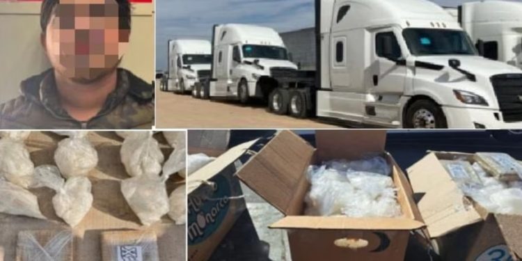 Hombre que usaba tres tractocamiones para transportar cargamento millonario de metanfetamina es detenido en Sonora