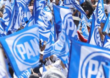 Se descartan Marko Cortés y Enrique Vargas para la coordinación del PAN en Senado; respaldan a Guadalupe Murguía