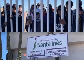 Jornaleros del campo Santa Inés en Empalme toman oficinas de la empresa “Empacadora Fructífera Santa Inés” por falta de pago; les deben hasta un mes de salario, aseguran