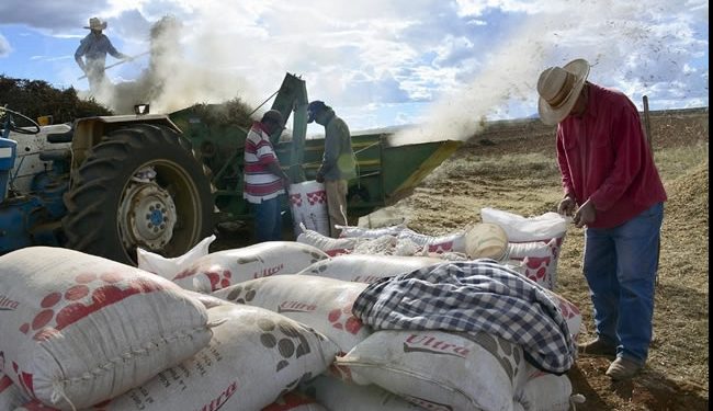 Gobierno creará programa de agroexportaciones