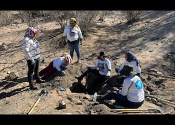 Buscadoras por la Paz Sonora localizan cementerio clandestino en Hermosillo; hay más de 20 cuerpos