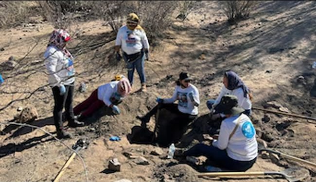 Buscadoras por la Paz Sonora localizan cementerio clandestino en Hermosillo; hay más de 20 cuerpos