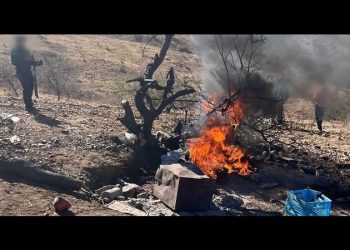 Destruyen SSP campamento utilizado por la delincuencia organizada en Nogales