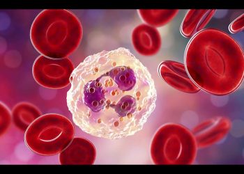 Científicos chinos logran revertir el proceso de envejecimiento