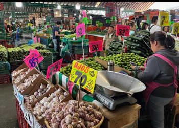 Economía mexicana entrará en contracción, prevé el Ingei