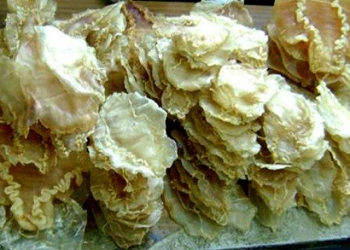 Detienen en Tijuana a implicado en tráfico de tototaba 