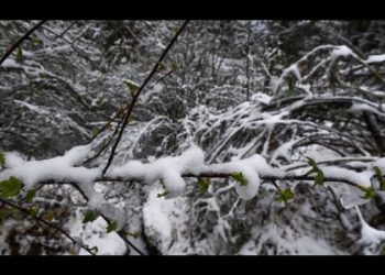 Frío récord: esta comunidad del país acaba de registrar -23.1 grados