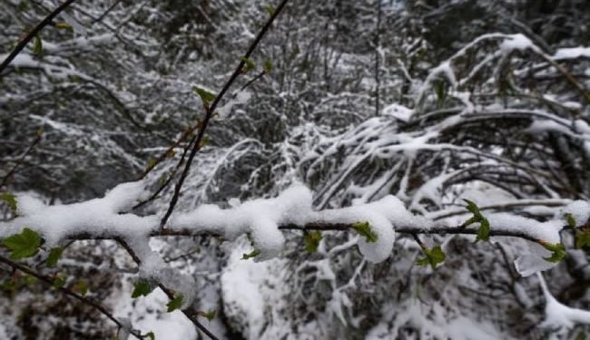 Frío récord: esta comunidad del país acaba de registrar -23.1 grados
