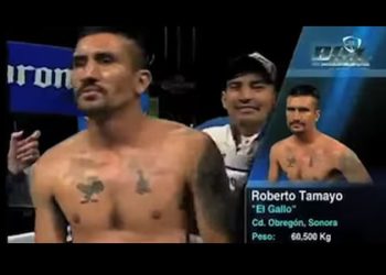 Asesinan al boxeador Roberto “Gallo” Tamayo en Ciudad Obregón, Sonora