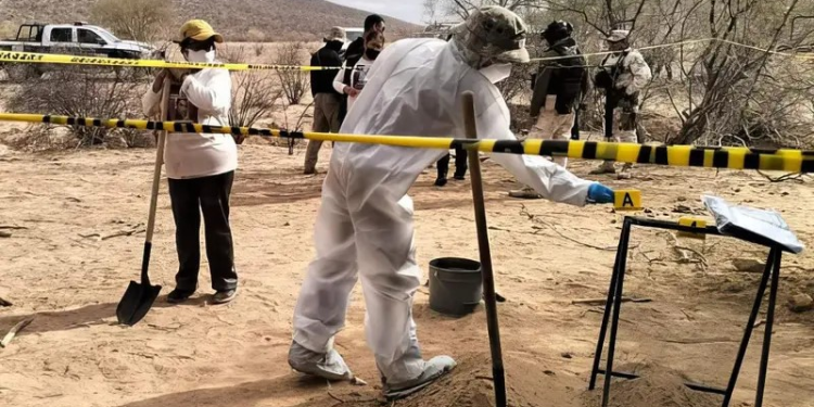 Hallan 8 cuerpos en las afueras de Hermosillo; madres buscadoras de Sonora identifica fosas