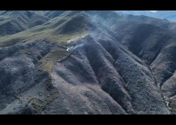 Tres incendios forestales se mantienen activos en Ensenada, Baja California