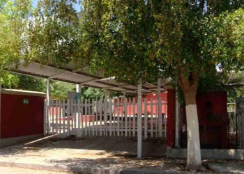 Consumo de Comida Chatarra en Escuelas; ¿Cómo Afecta en la Salud de Los Alumnos?