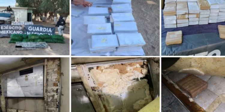 Aseguran droga valuada en más de un millón de dólares en Sonora; hay 13 personas detenidas