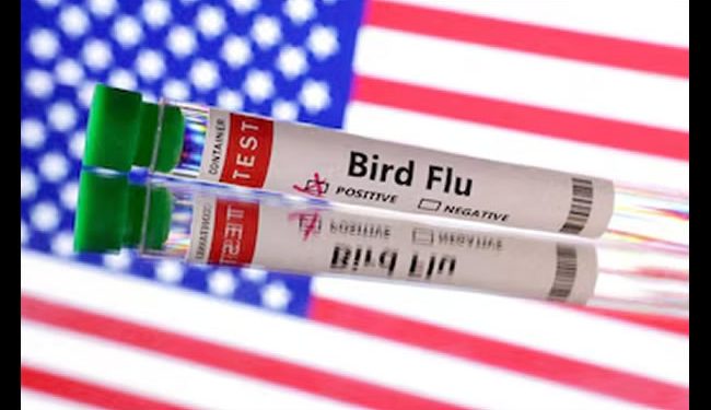 Muere la primera persona por el virus de gripe aviar en Estados Unidos