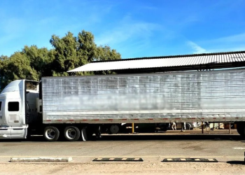 Aseguran 98 kilos de metanfetamina en Sonora; hay un hombre detenido