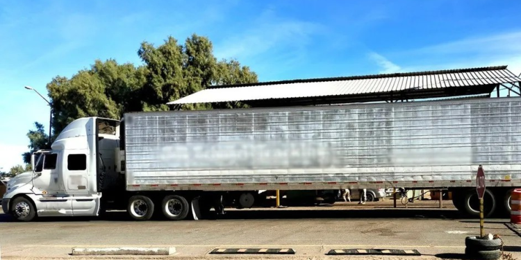 Aseguran 98 kilos de metanfetamina en Sonora; hay un hombre detenido