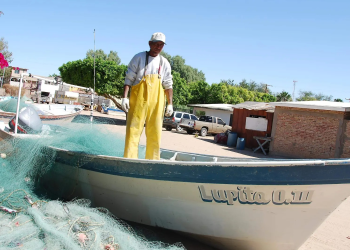 Piden bajar los costos de producción para pescadores