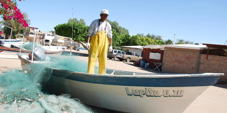 Piden bajar los costos de producción para pescadores