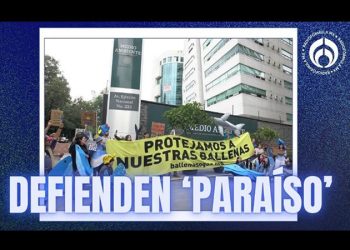 ‘Ballenas o gas’: así es el proyecto Saguaro que genera protestas de ambientalistas