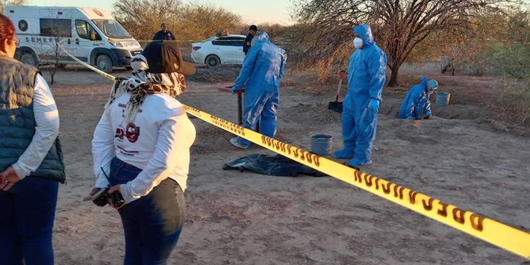 En 2024 las Madres Buscadoras de Sonora localizaron 164 cuerpos; también ubicaron 7 carboneras y 3 crematorios clandestinos