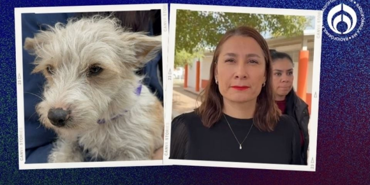 Capacitarán a personal de seguridad en materia de protección animal