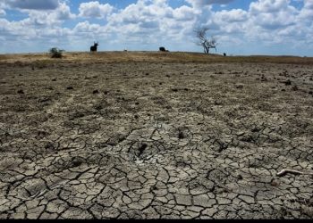 Se recrudece la sequía de un cuarto de siglo en México y Estados Unidos